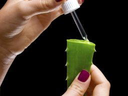 Person extracting gel from fresh aloe vera leaf using a dropper, representing natural healing, detoxification, and skin support in holistic 